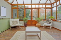 free Trumps Green conservatory quotes